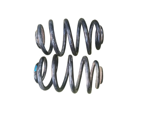 Espirales traseros del Renault Clio 2007 1.6 16 válvulas